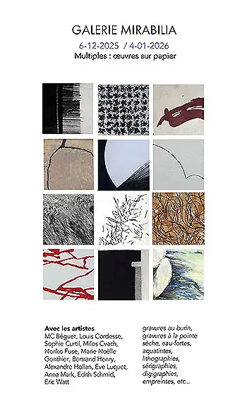 Voir - Galerie Mirabilia